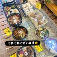 画像1245
