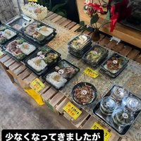 画像1551